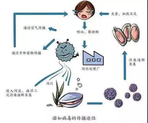 諾如病毒宣傳