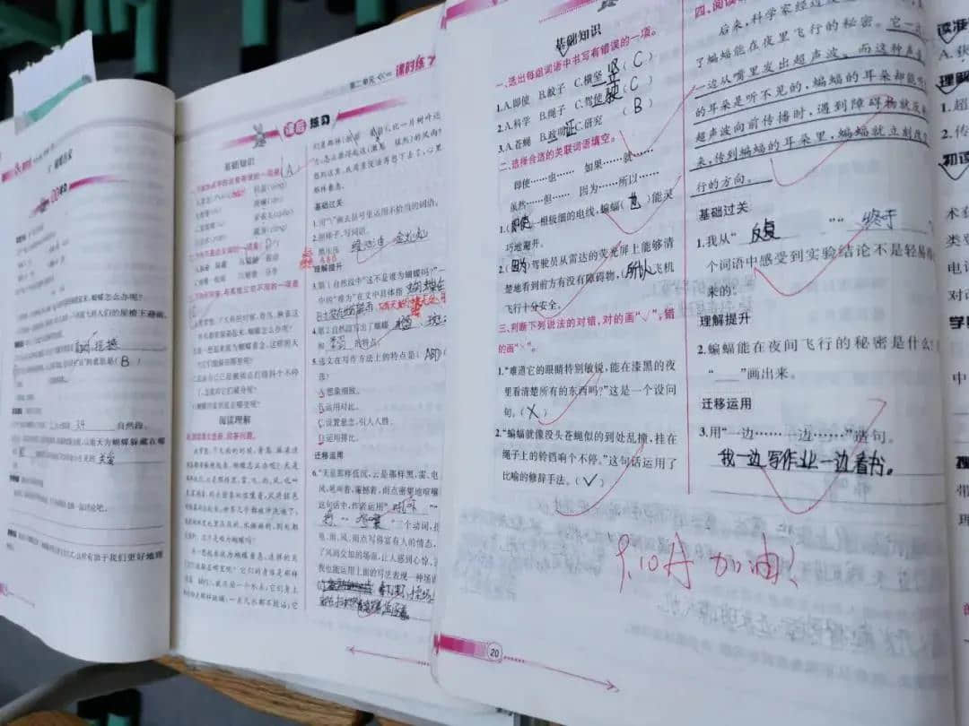 【小學(xué)部作業(yè)展評(píng)】書，心之所畫