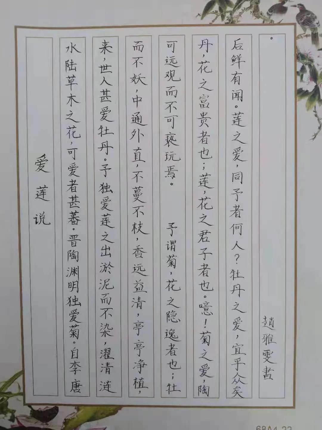 不忘初心 激勵前行 研有所得 收獲滿滿┃私立一中小學部