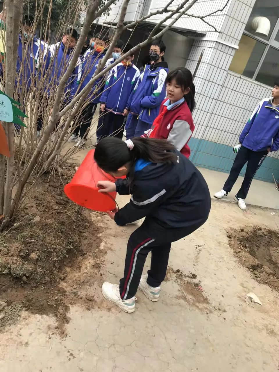 【五育并舉】播種綠色希望 收獲生命景色——植樹節(jié)勞動實(shí)踐溫馨開啟