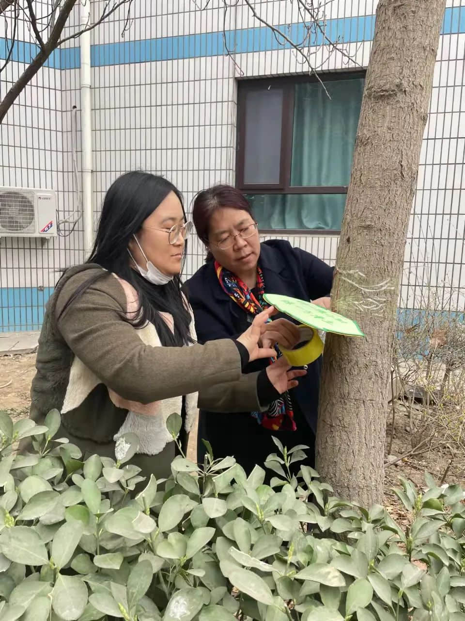 【五育并舉】播種綠色希望 收獲生命景色——植樹節(jié)勞動實(shí)踐溫馨開啟