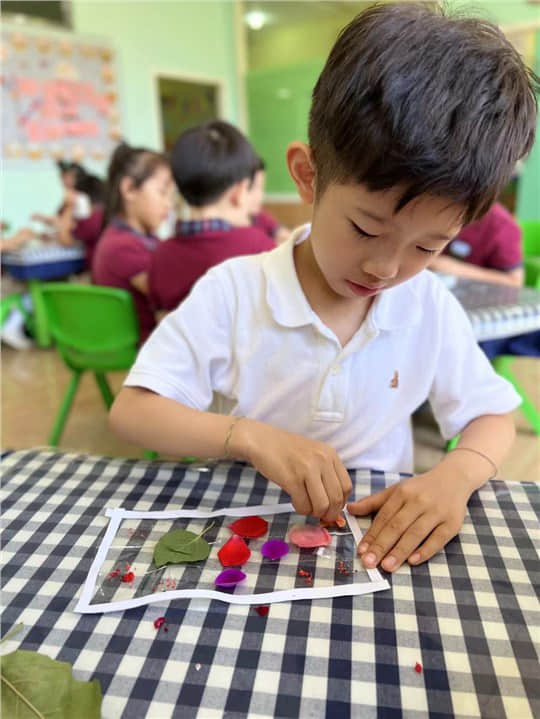 芒種芒種、幸福播種——私立一中附屬幼兒園24節(jié)氣“芒種”主題活動(dòng)