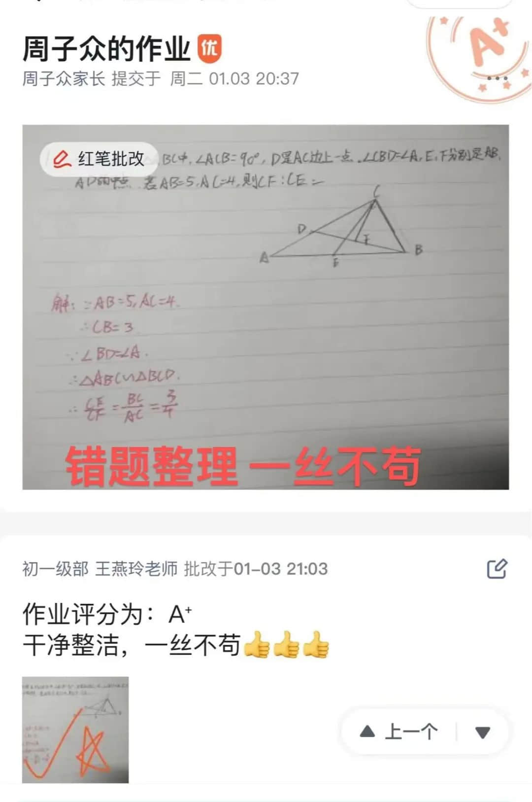 線上教學(xué)勤耕耘 凝心聚力促成長(zhǎng)丨初二年級(jí)云端課堂紀(jì)實(shí)