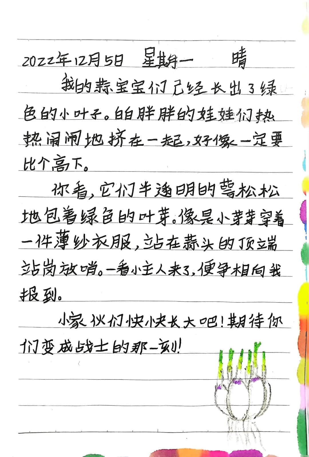 【立之育?生命課程】了解植物生長，感受生命力量——“成長四記”冬藏課程之居家種植（二）