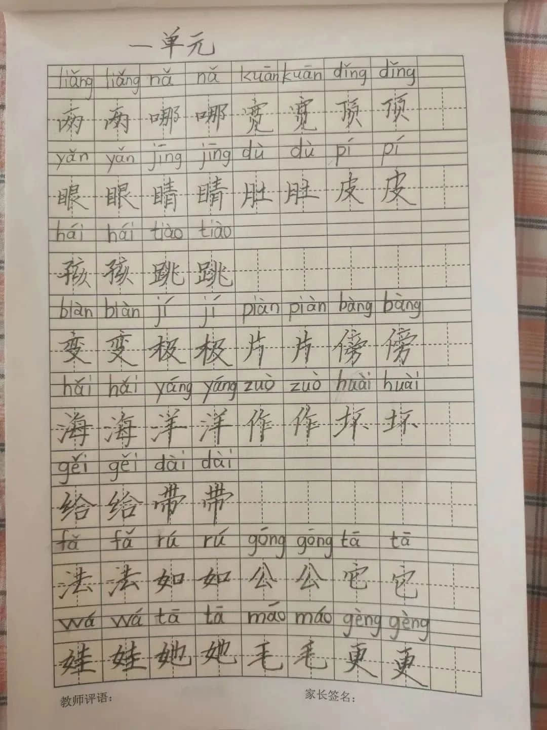 【立小?寒假生活】“語”你一起 奮發(fā)“兔”強——語文學(xué)科特色寒假實踐作業(yè)展