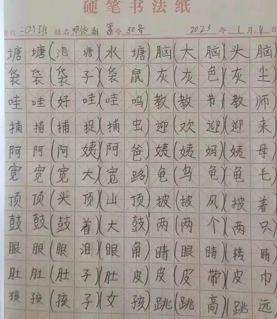 【立小?寒假生活】“語”你一起 奮發(fā)“兔”強——語文學(xué)科特色寒假實踐作業(yè)展