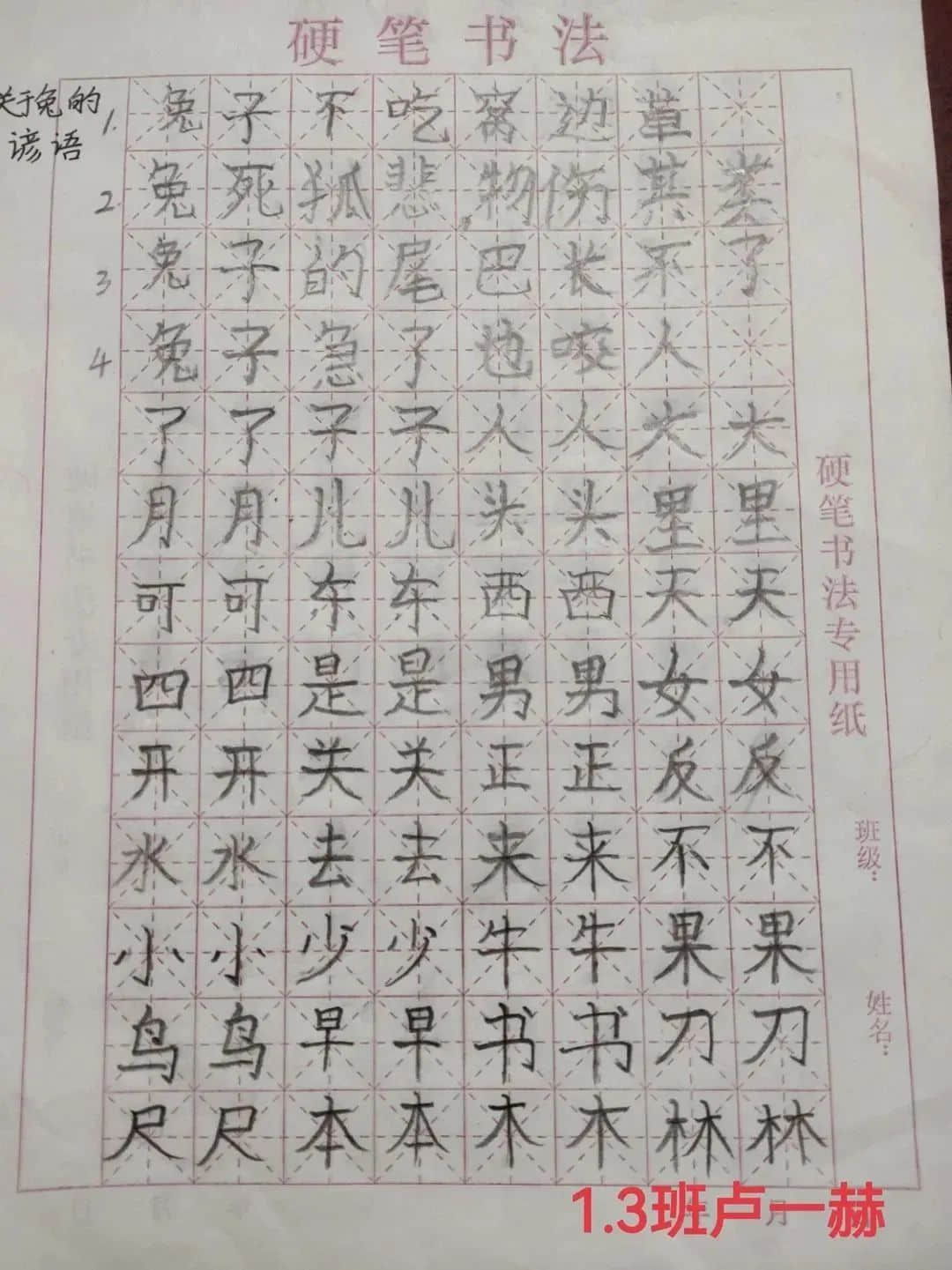 【立小?寒假生活】“語”你一起 奮發(fā)“兔”強——語文學(xué)科特色寒假實踐作業(yè)展