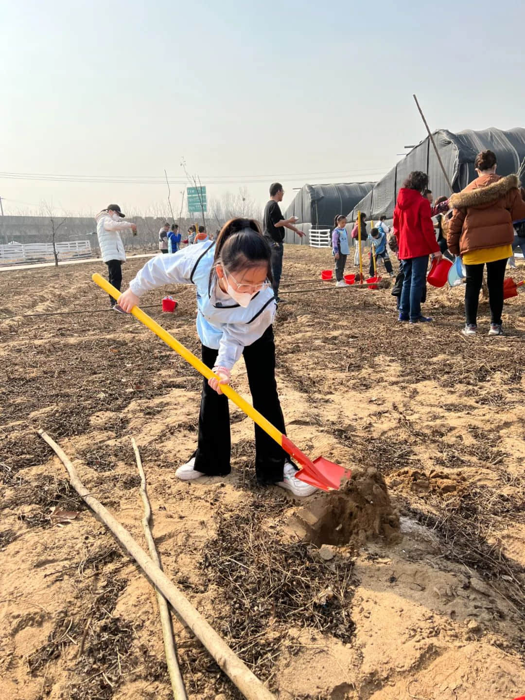 【立小?勞動(dòng)教育】澆灌希望 種植未來 | 立娃植樹節(jié)實(shí)踐活動(dòng)