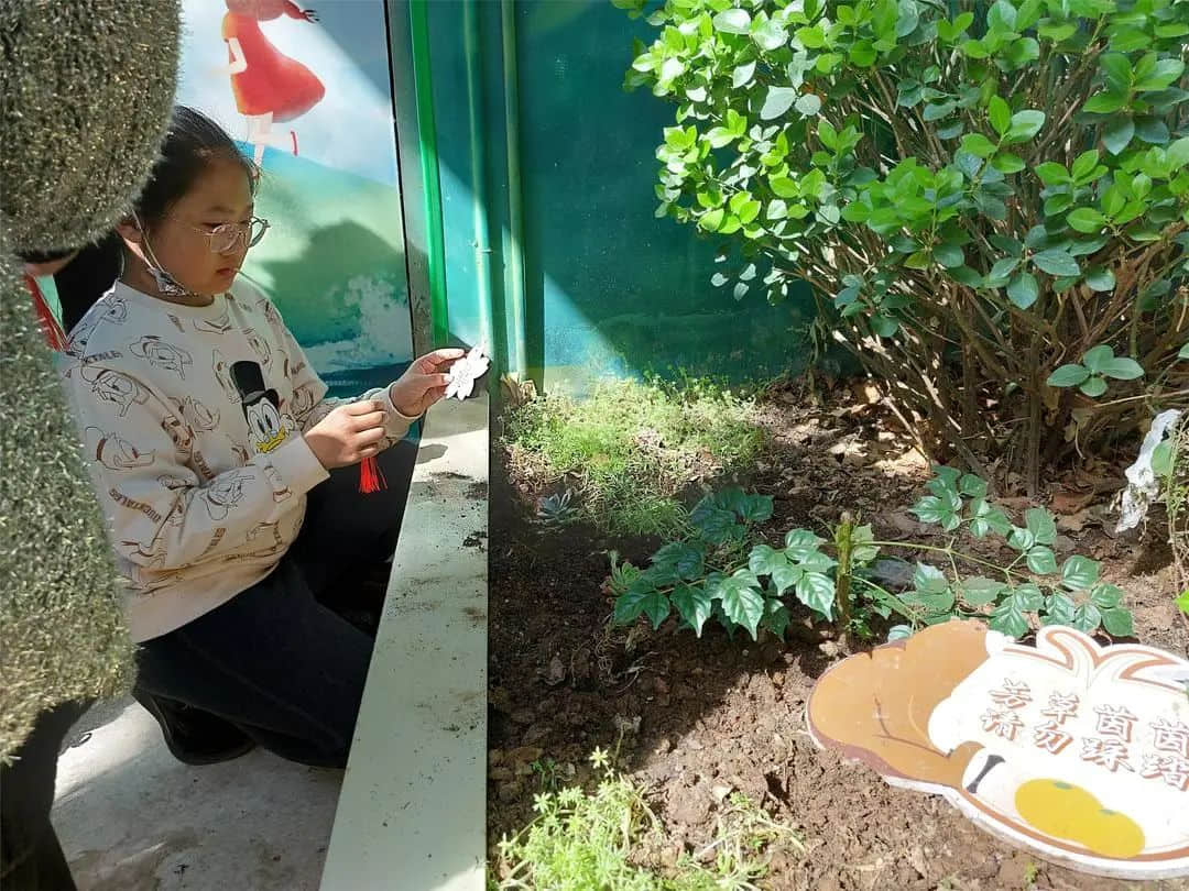 【預(yù)之春】與春相約，心“預(yù)”花開——石家莊私立一中附小預(yù)科部植樹節(jié)活動