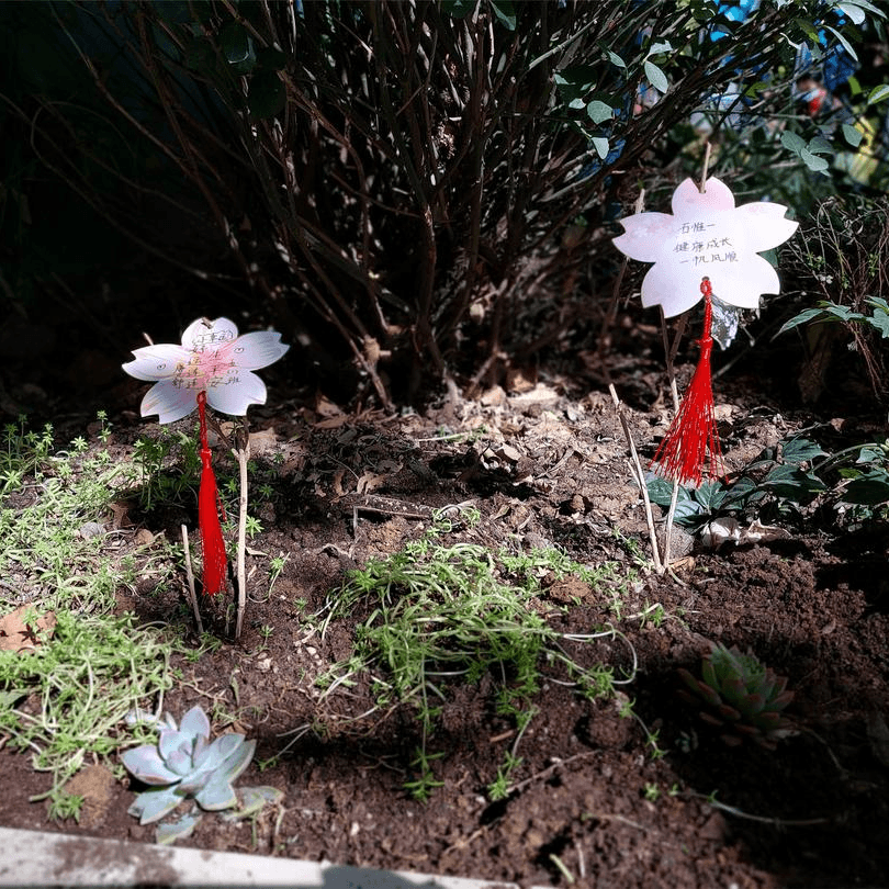 【預(yù)之春】與春相約，心“預(yù)”花開——石家莊私立一中附小預(yù)科部植樹節(jié)活動
