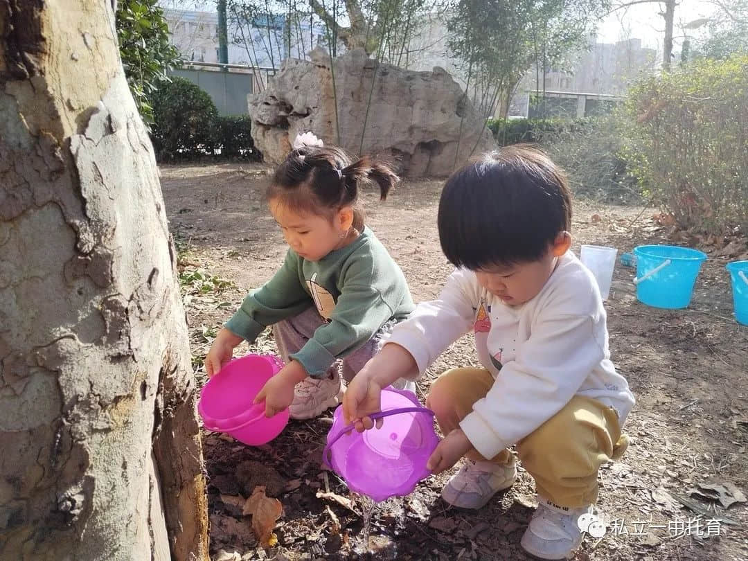 【節(jié)日知識】“植樹節(jié)”——將綠色種在春天里