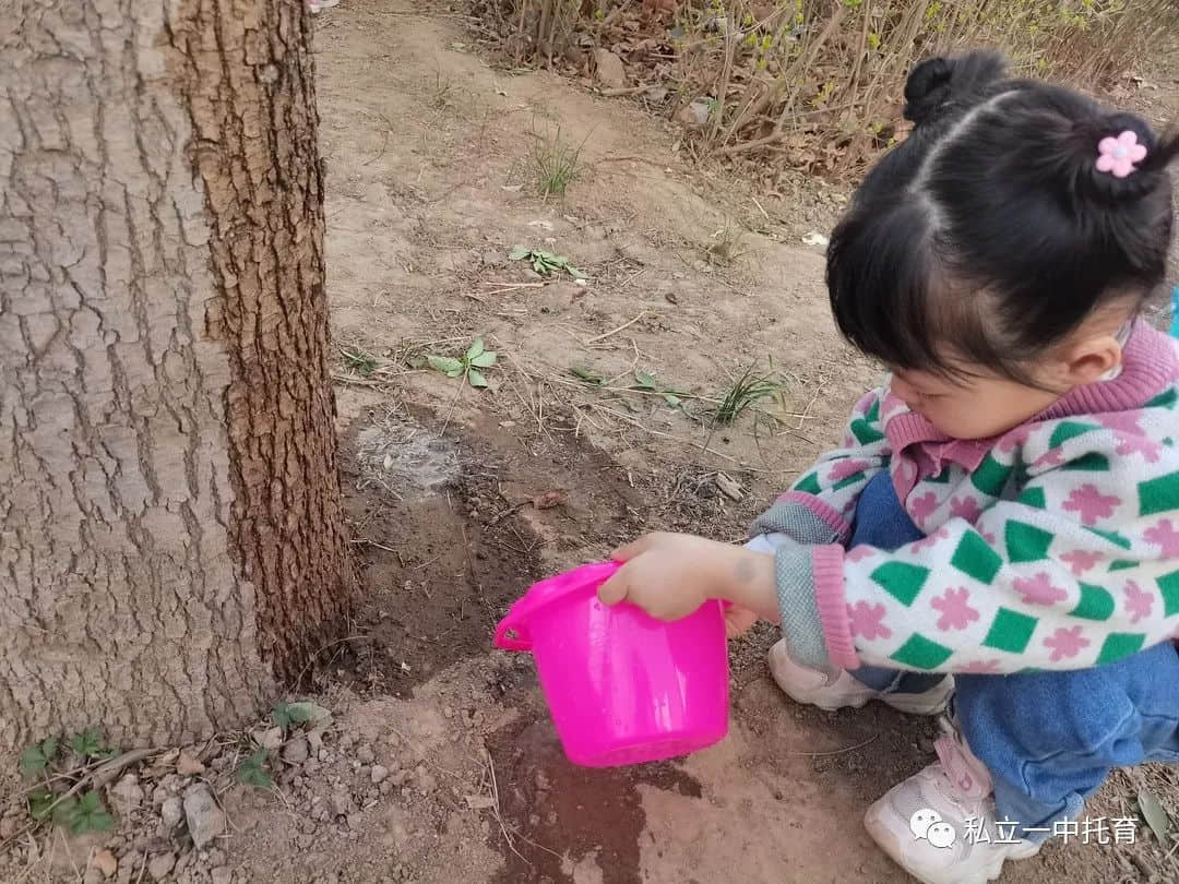 【節(jié)日知識】“植樹節(jié)”——將綠色種在春天里