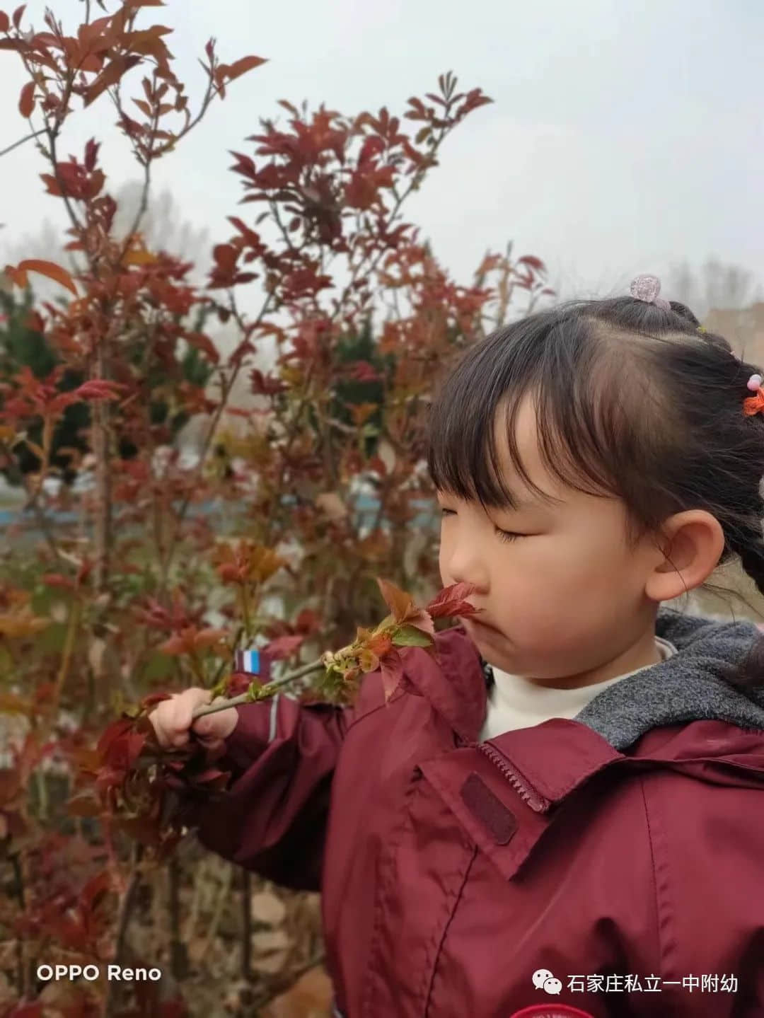 【幼之育】邂逅春日，“幼”見(jiàn)花開(kāi)