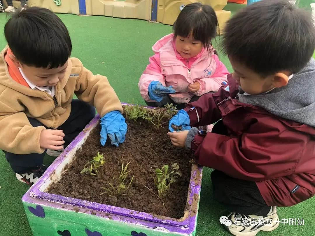 【幼之育】邂逅春日，“幼”見(jiàn)花開(kāi)