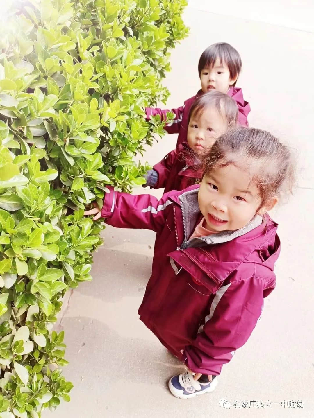 【幼之育】邂逅春日，“幼”見(jiàn)花開(kāi)