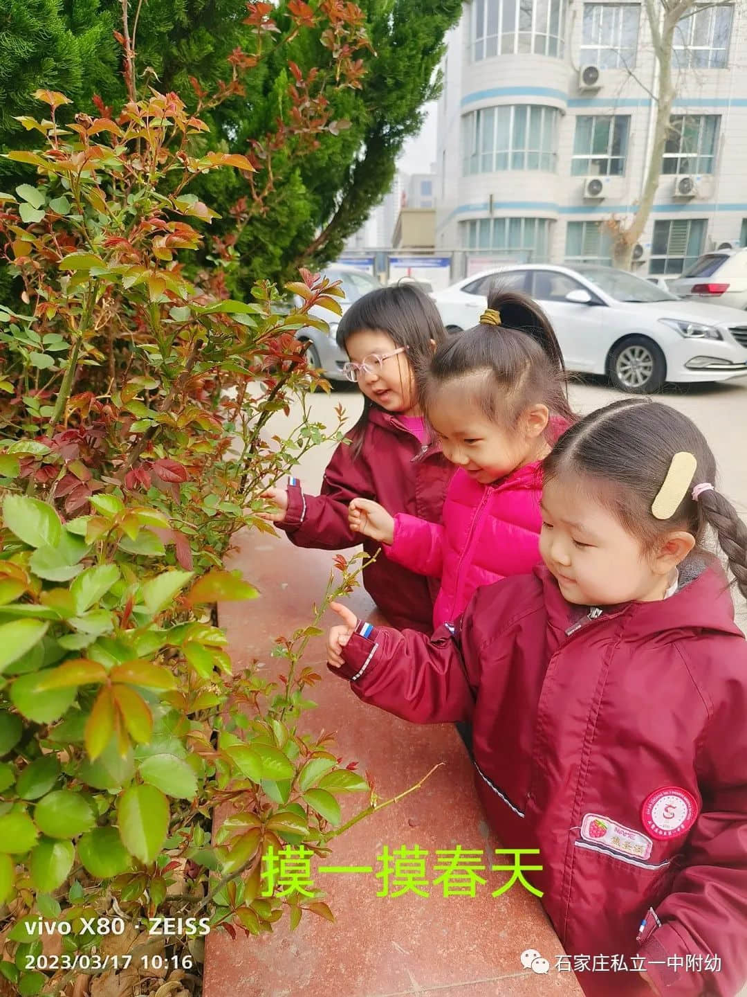 【幼之育】邂逅春日，“幼”見(jiàn)花開(kāi)