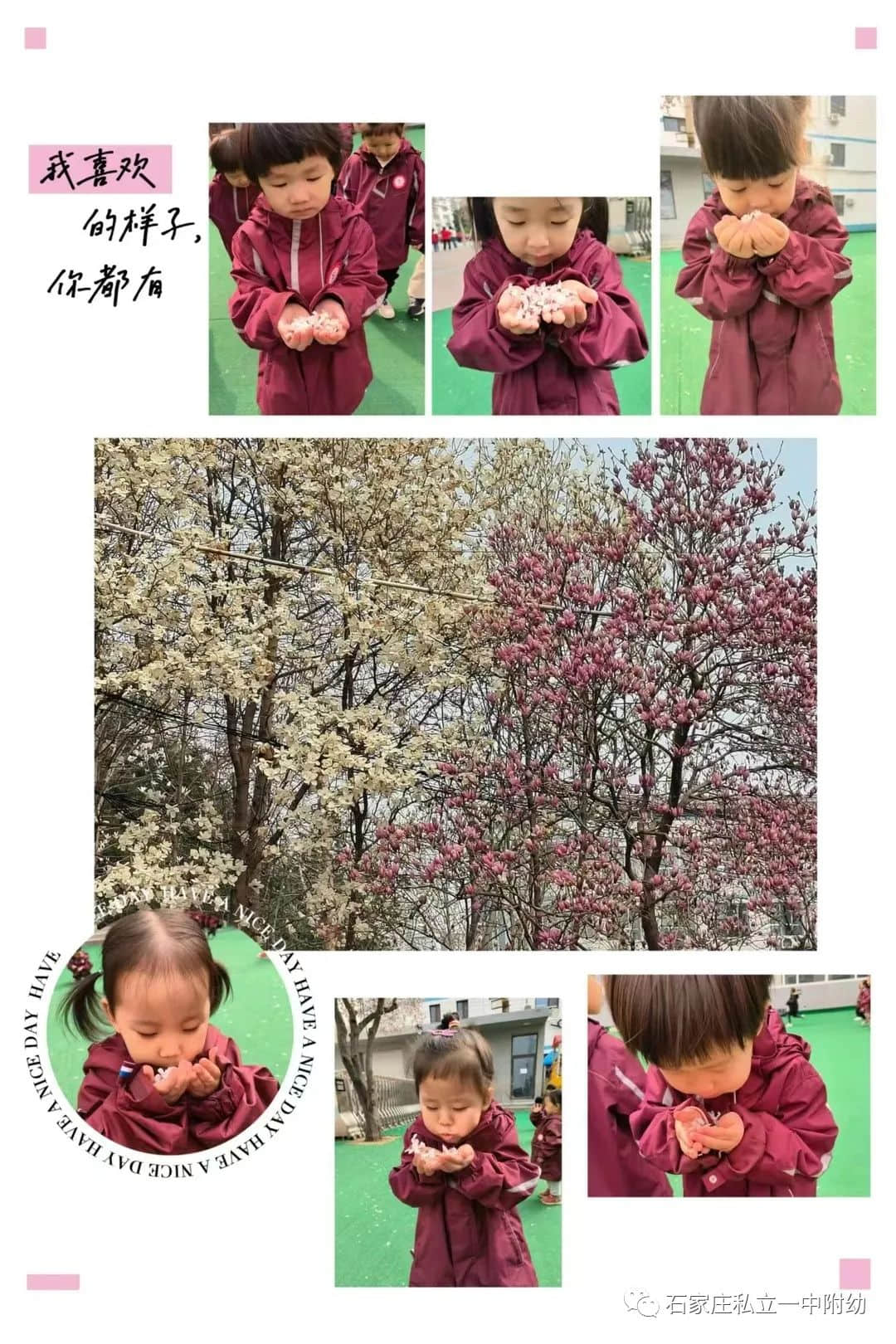 【幼之育】邂逅春日，“幼”見(jiàn)花開(kāi)