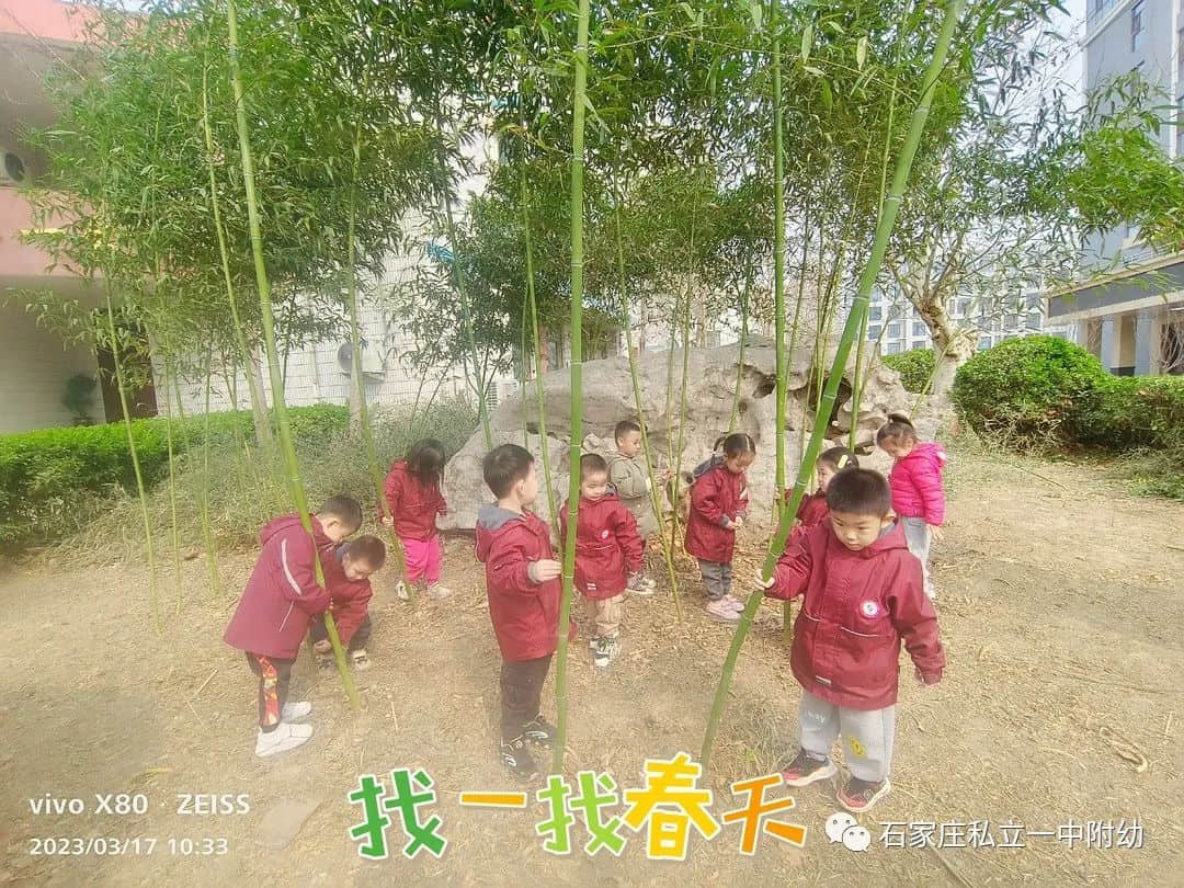 【幼之育】邂逅春日，“幼”見(jiàn)花開(kāi)