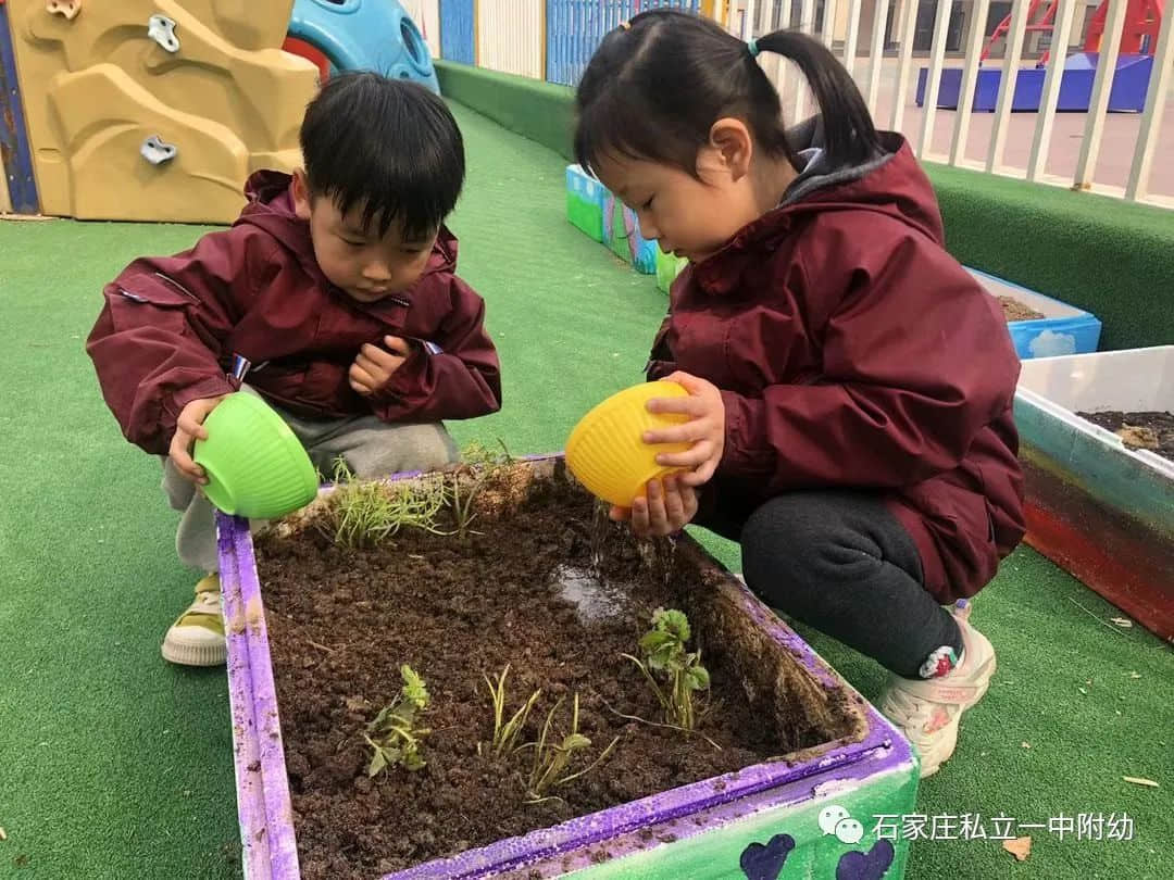 【幼之育】邂逅春日，“幼”見(jiàn)花開(kāi)