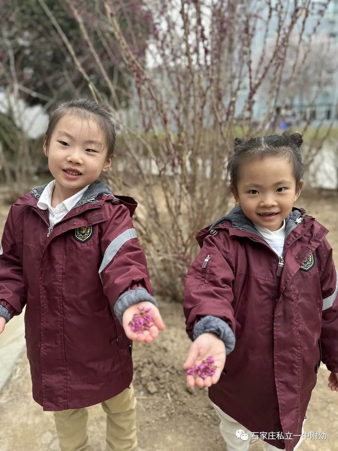 【幼之育】邂逅春日，“幼”見(jiàn)花開(kāi)