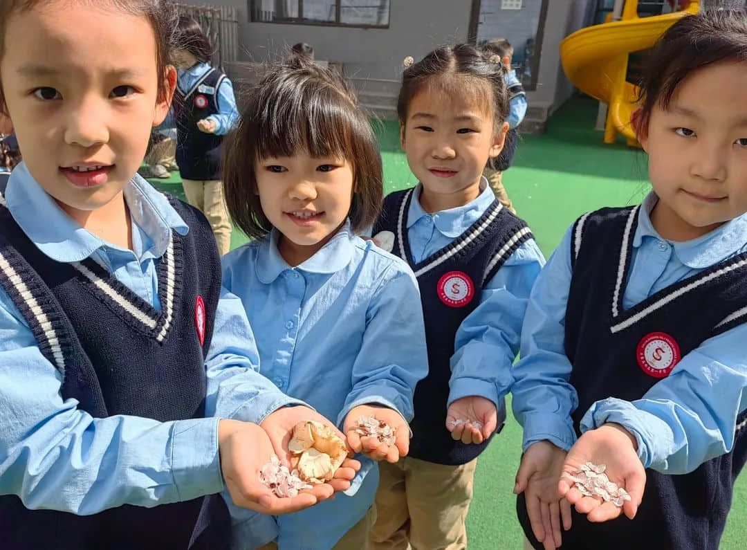 【預(yù)之春】燕鳥(niǎo)銜春來(lái)，百卉爭(zhēng)春光——石家莊私立一中附小預(yù)科部|“預(yù)”見(jiàn)春之美