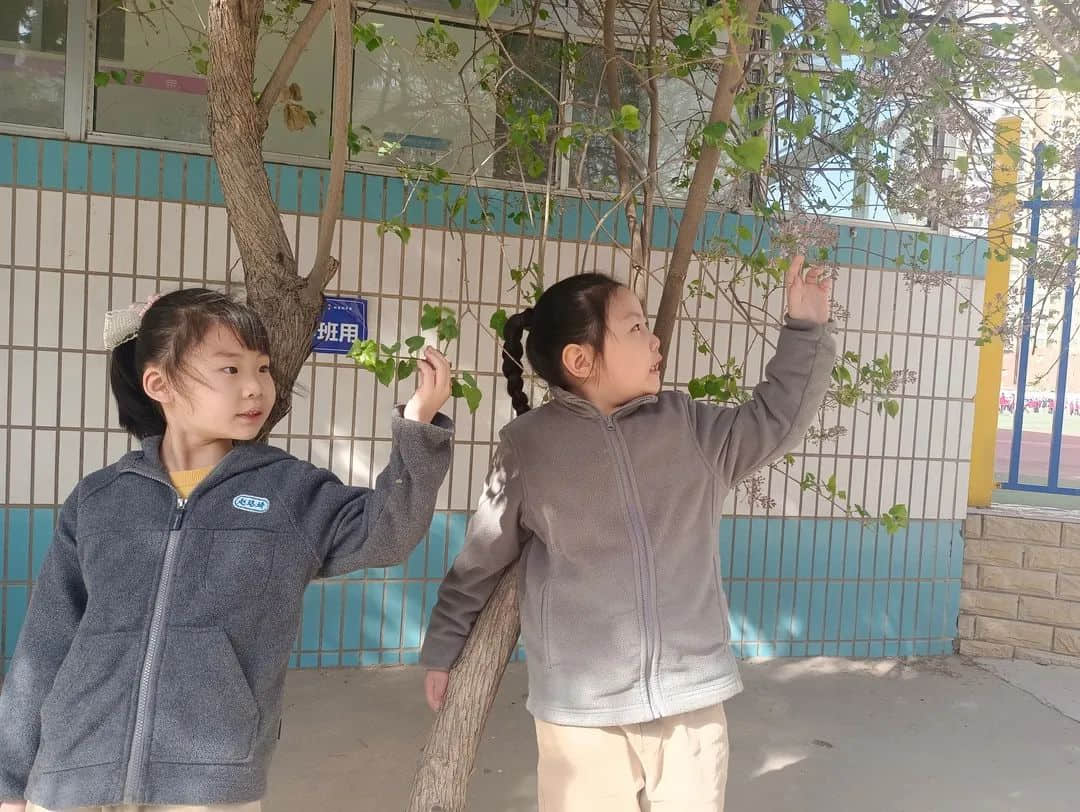 【預(yù)之春】燕鳥(niǎo)銜春來(lái)，百卉爭(zhēng)春光——石家莊私立一中附小預(yù)科部|“預(yù)”見(jiàn)春之美