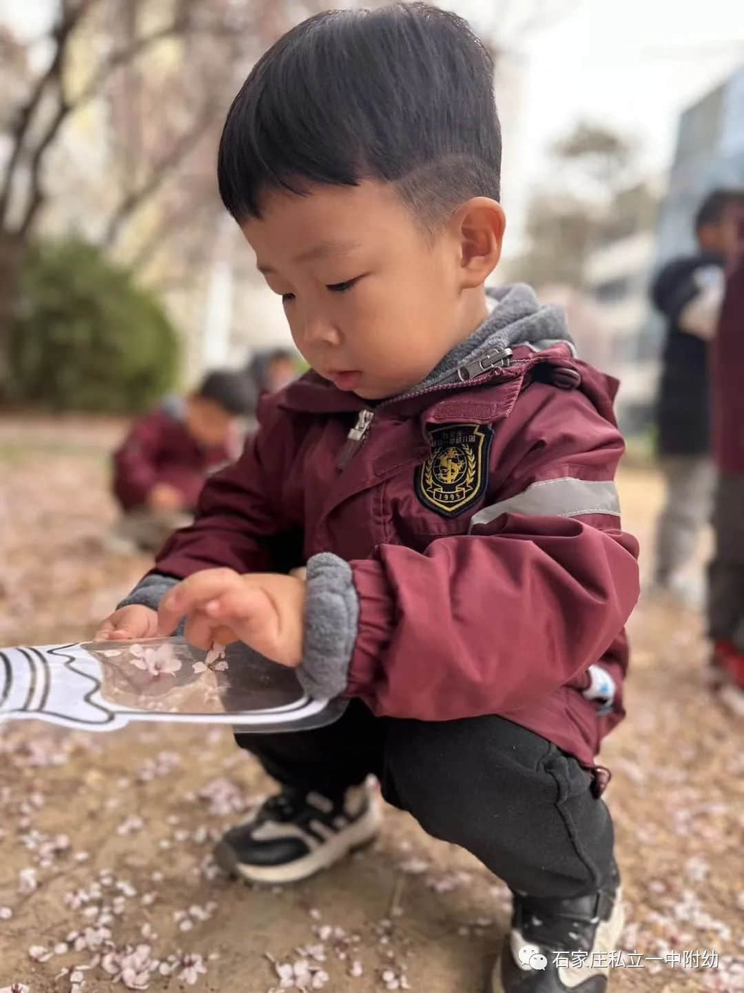 【幼之育】如何培養(yǎng)幼兒專注力