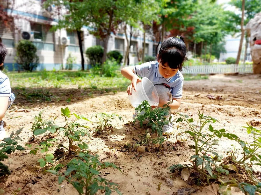 【預(yù)之愛 Part 2.】讓生命喚醒生命，用教育成就教育——石家莊私立一中附小預(yù)科部迎六一|生命教育主題活動