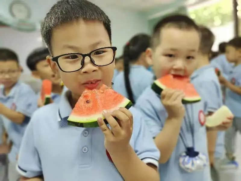 【預(yù)之夏】夏天的故事