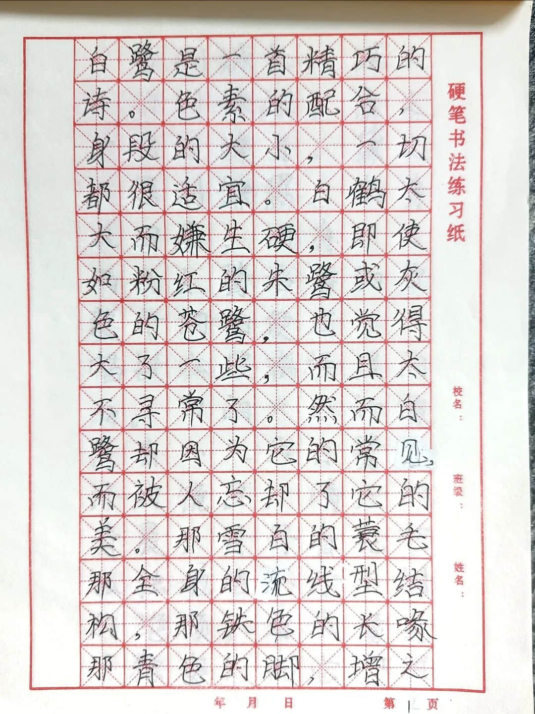 【立小?聚焦教學】繽紛作業(yè)展風采｜石家莊私立一中附屬小學創(chuàng)意作業(yè)展