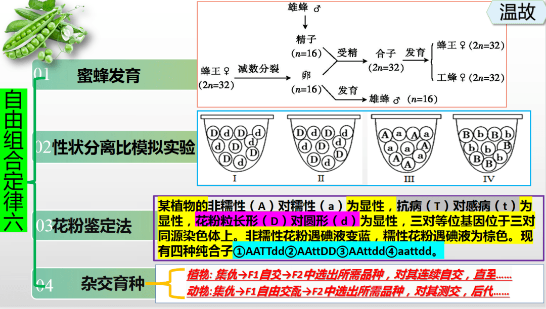 溫故知新 以賽促教丨“三一高效課堂”之“溫”環(huán)節(jié)解析