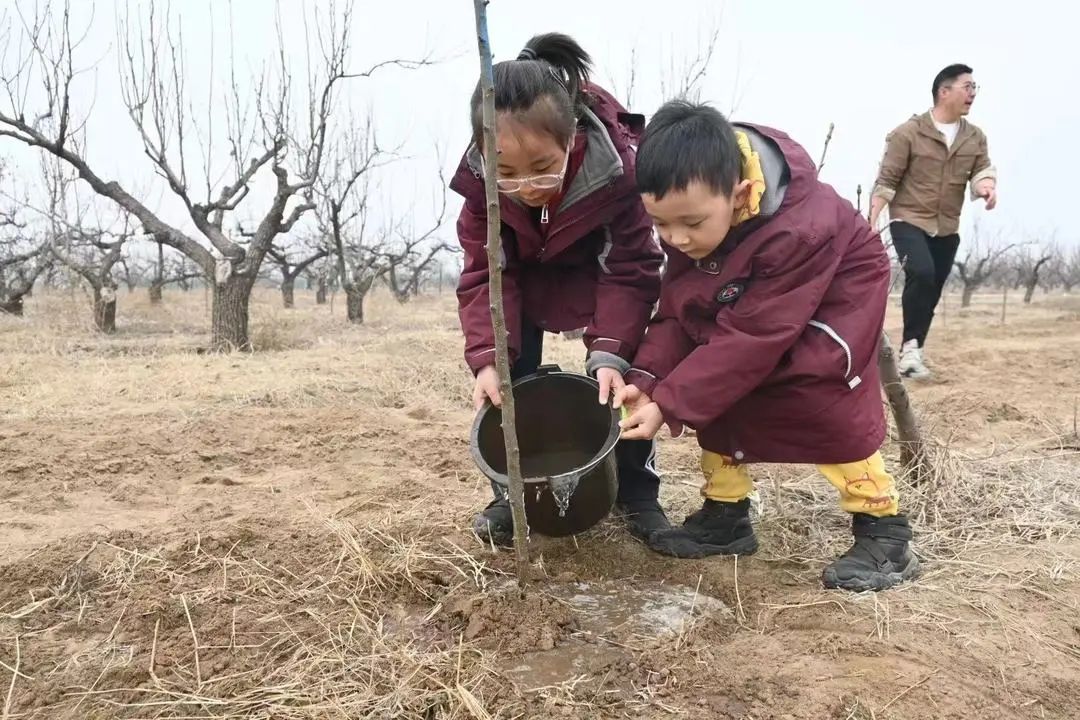 【立小?五立德育】“植”此青綠 共“樹”春暉｜立娃植樹節(jié)勞動實踐