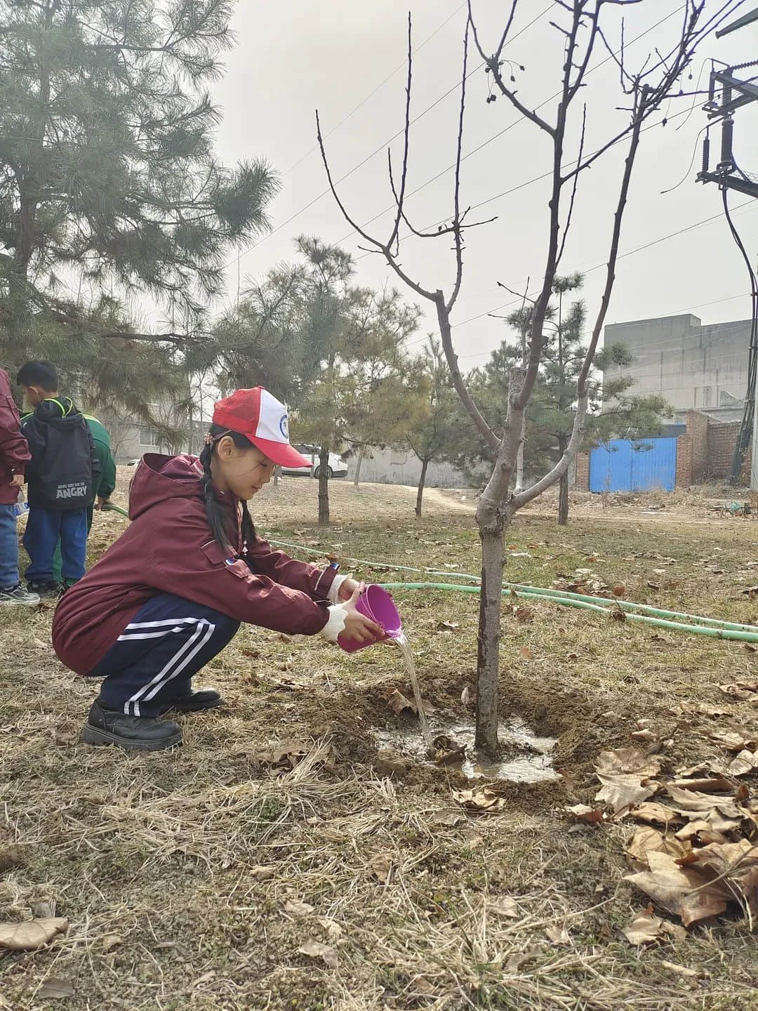 【立小?五立德育】“植”此青綠 共“樹”春暉｜立娃植樹節(jié)勞動實踐