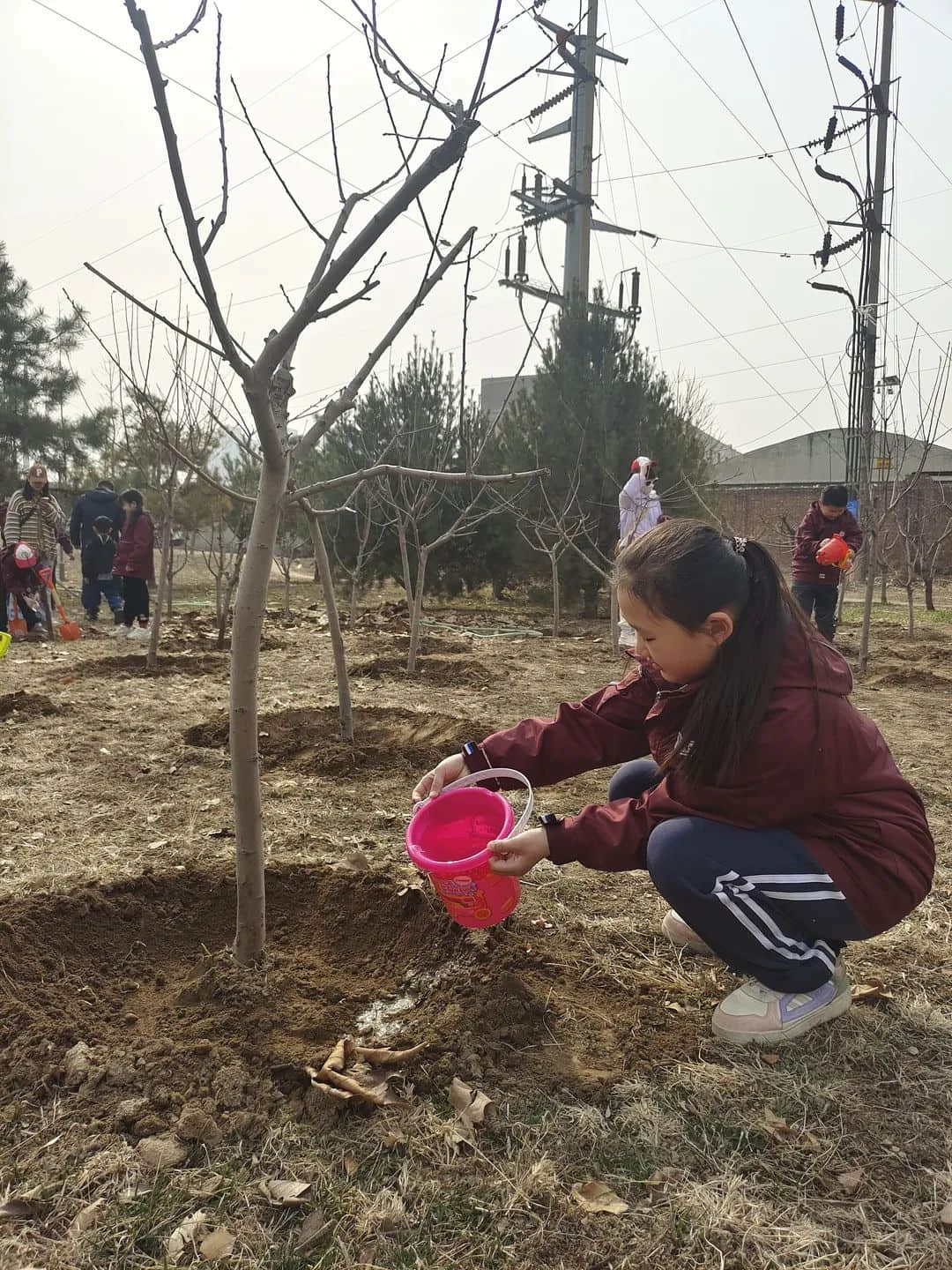 【立小?五立德育】“植”此青綠 共“樹”春暉｜立娃植樹節(jié)勞動實踐