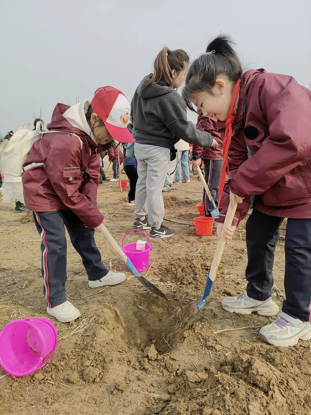 【立小?五立德育】“植”此青綠 共“樹”春暉｜立娃植樹節(jié)勞動實踐