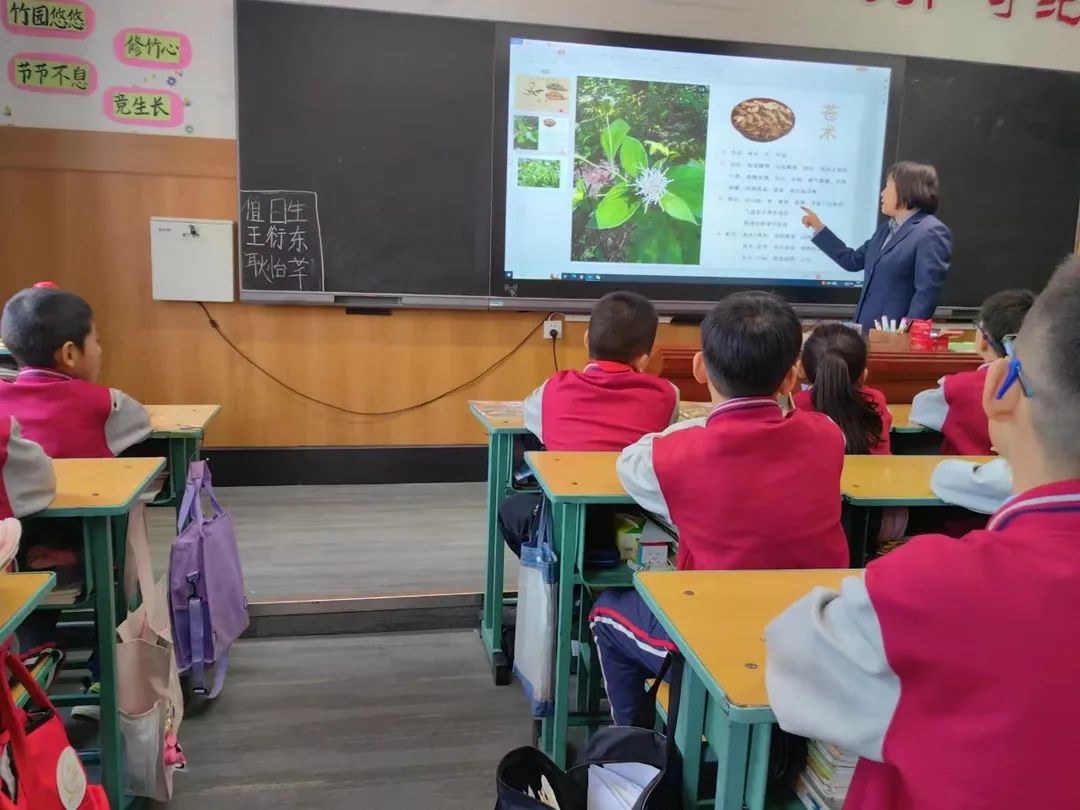 【立小?生命教育】尋味種植園 探秘中草藥｜三年級百草園種植課程開啟儀式