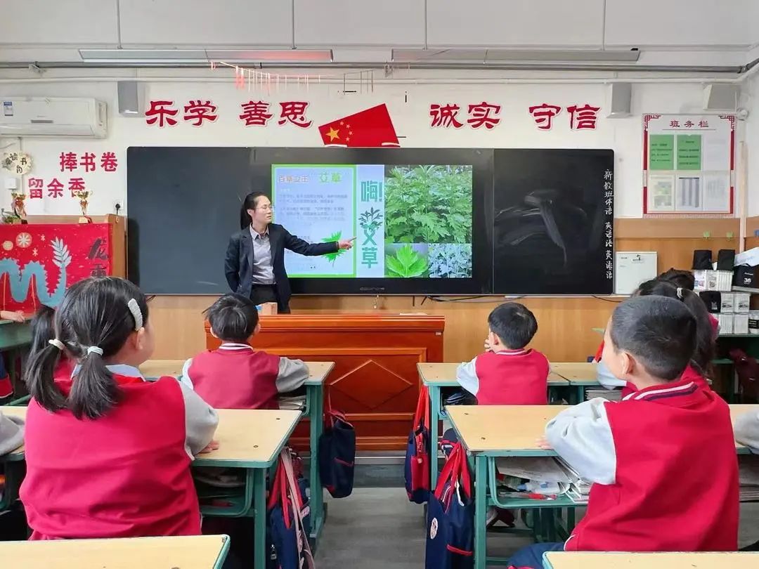 【立小?生命教育】尋味種植園 探秘中草藥｜三年級百草園種植課程開啟儀式