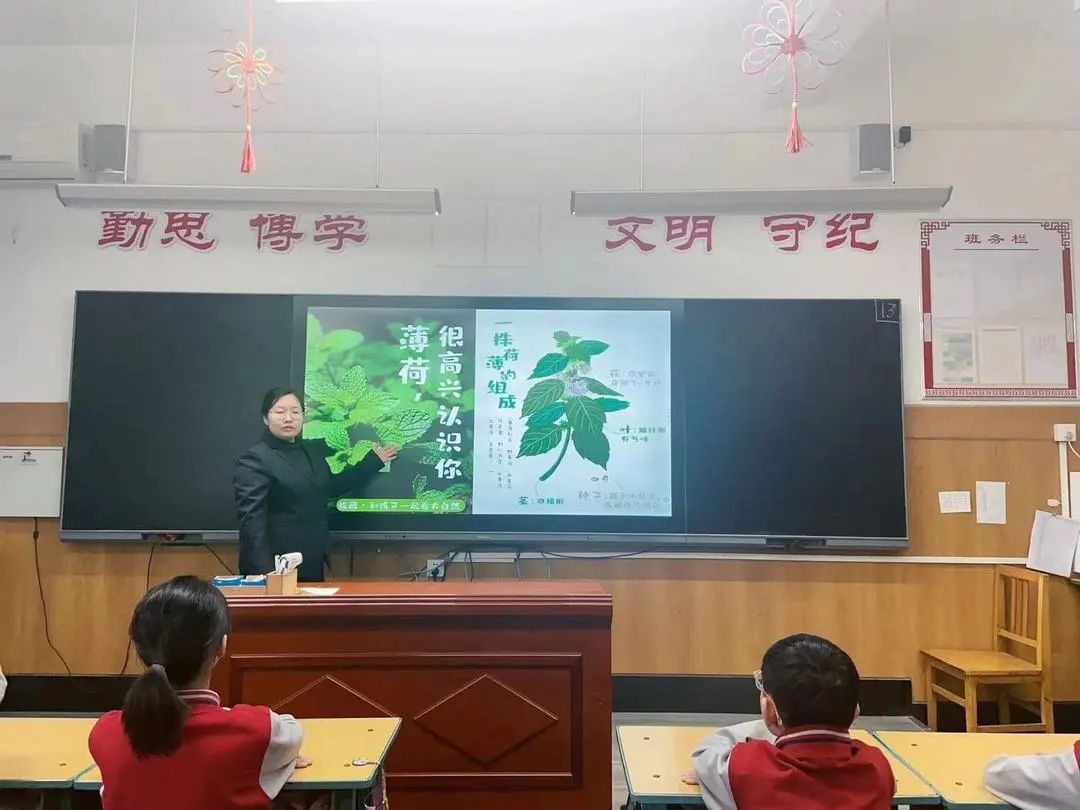 【立小?生命教育】尋味種植園 探秘中草藥｜三年級百草園種植課程開啟儀式