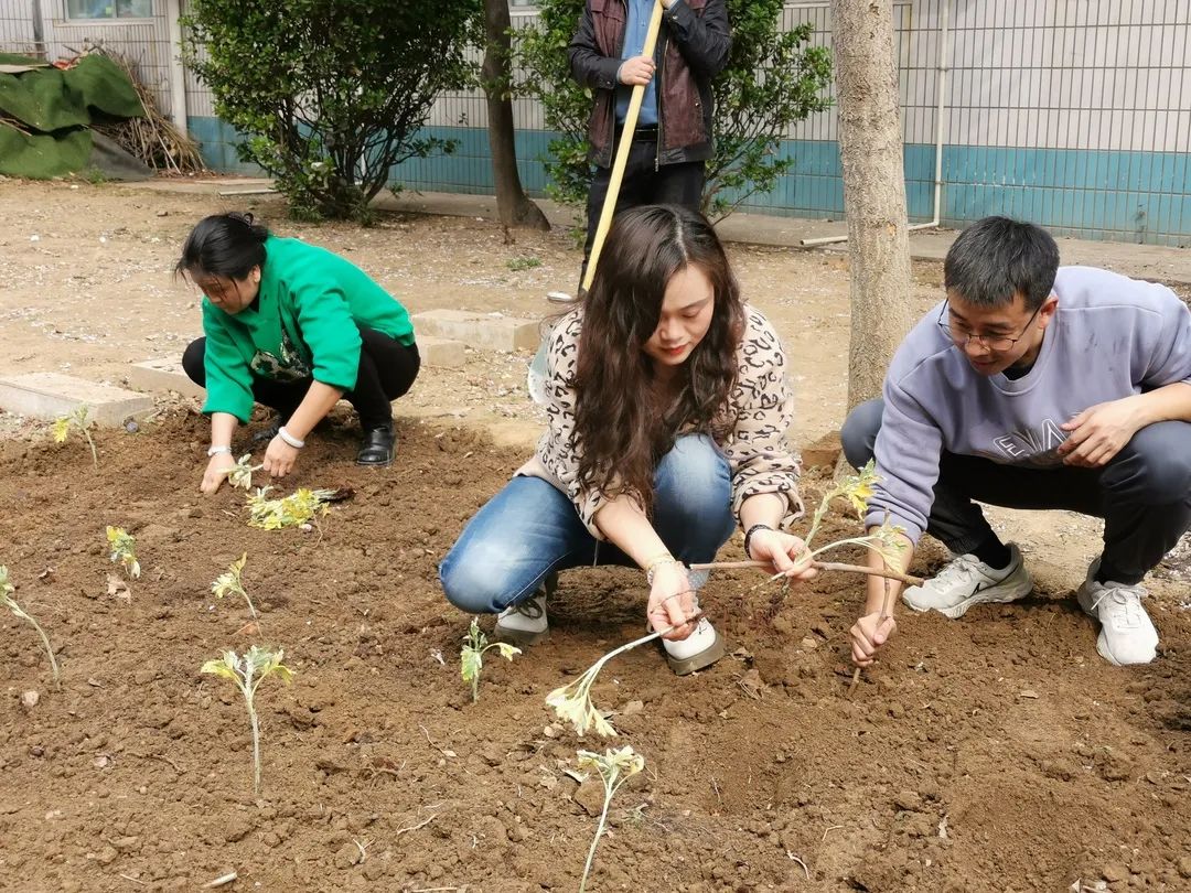 【立小?生命教育】尋味種植園 探秘中草藥｜三年級百草園種植課程開啟儀式