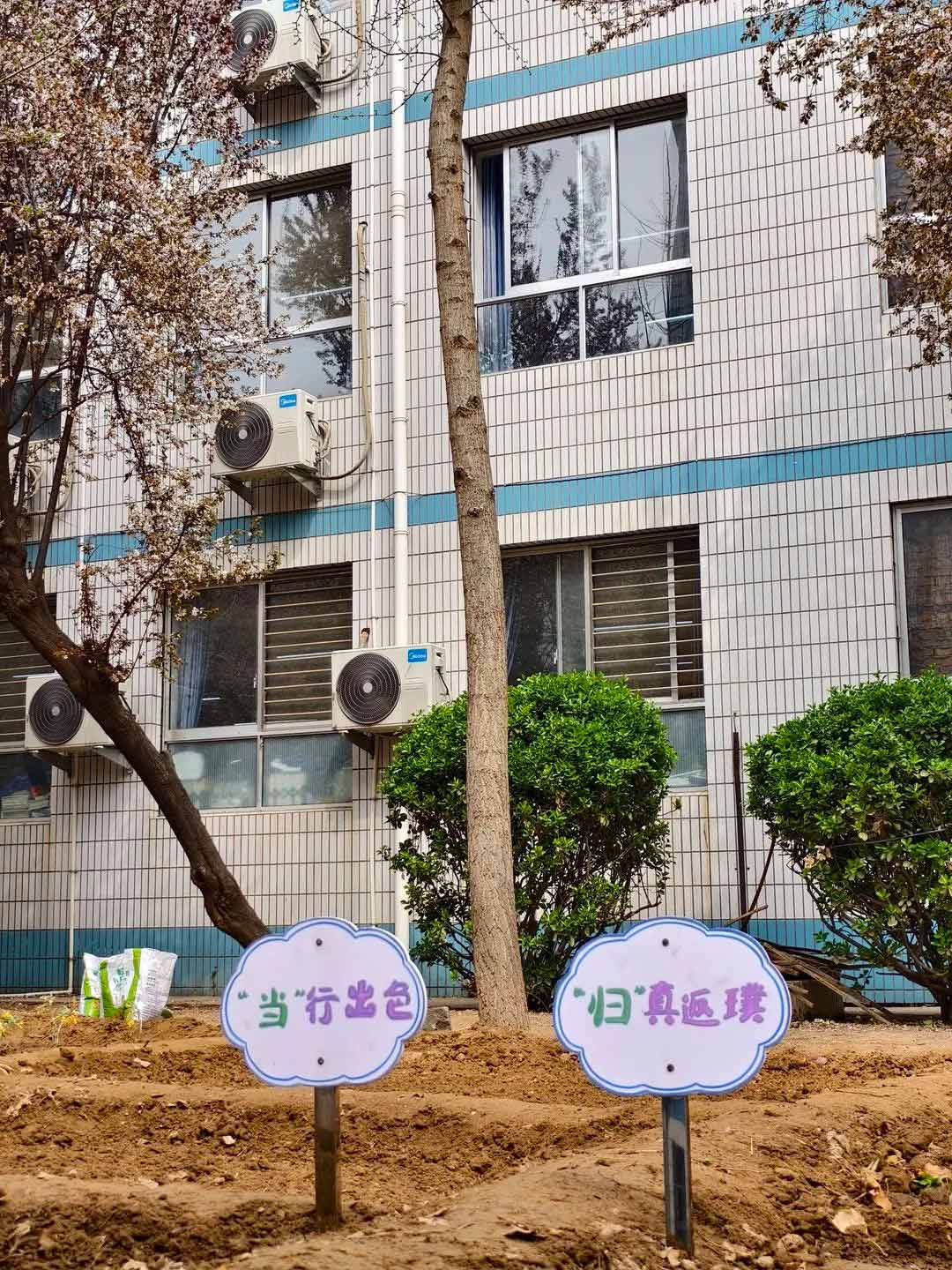 【立小?生命教育】尋味種植園 探秘中草藥｜三年級百草園種植課程開啟儀式