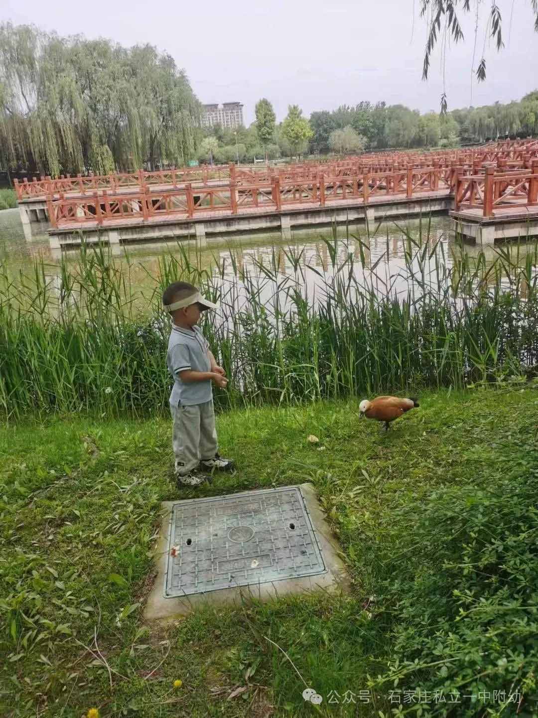 【春游】赴春日盛宴 樂享園博園