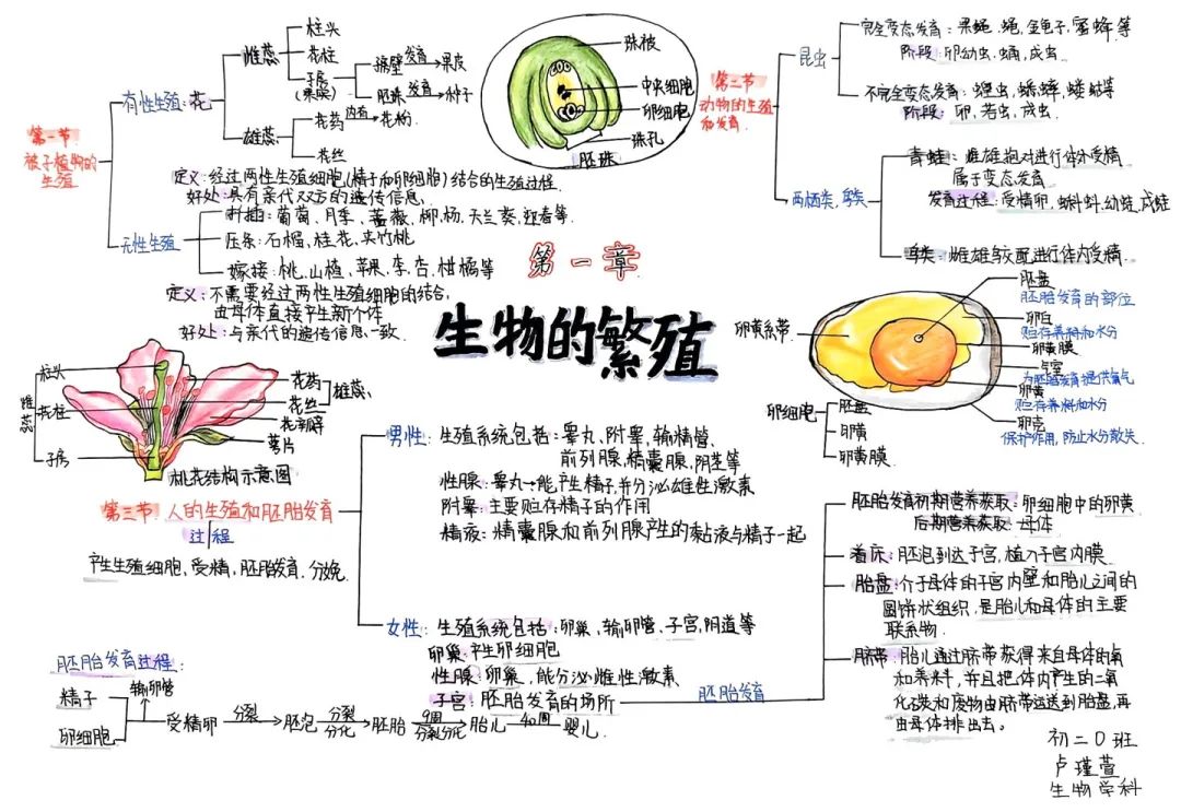 思維綻放 智慧飛揚丨初二年級開展學(xué)科思維導(dǎo)圖競賽