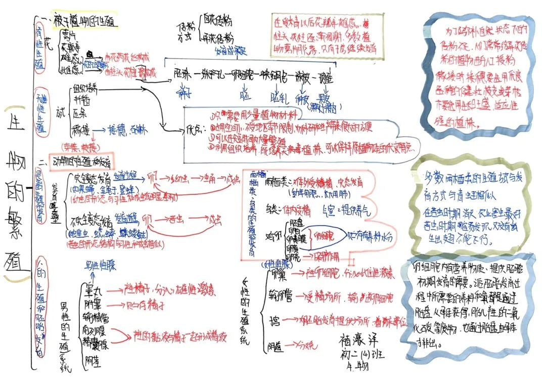 思維綻放 智慧飛揚丨初二年級開展學(xué)科思維導(dǎo)圖競賽