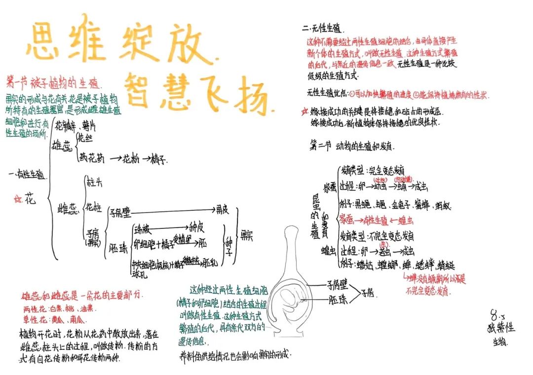 思維綻放 智慧飛揚丨初二年級開展學(xué)科思維導(dǎo)圖競賽