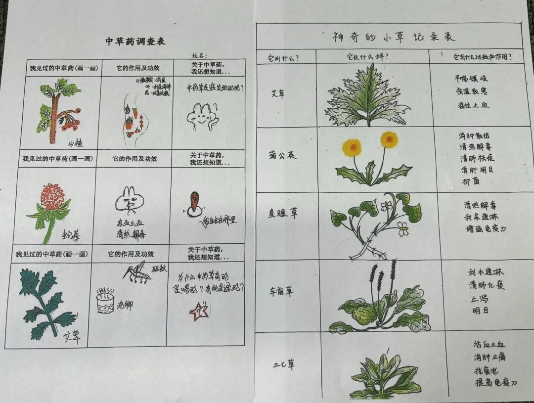 【立小 ? 美育】藥香縈繞匠心間 勞動傳承中國夢｜三年級中醫(yī)藥項目式實踐課程