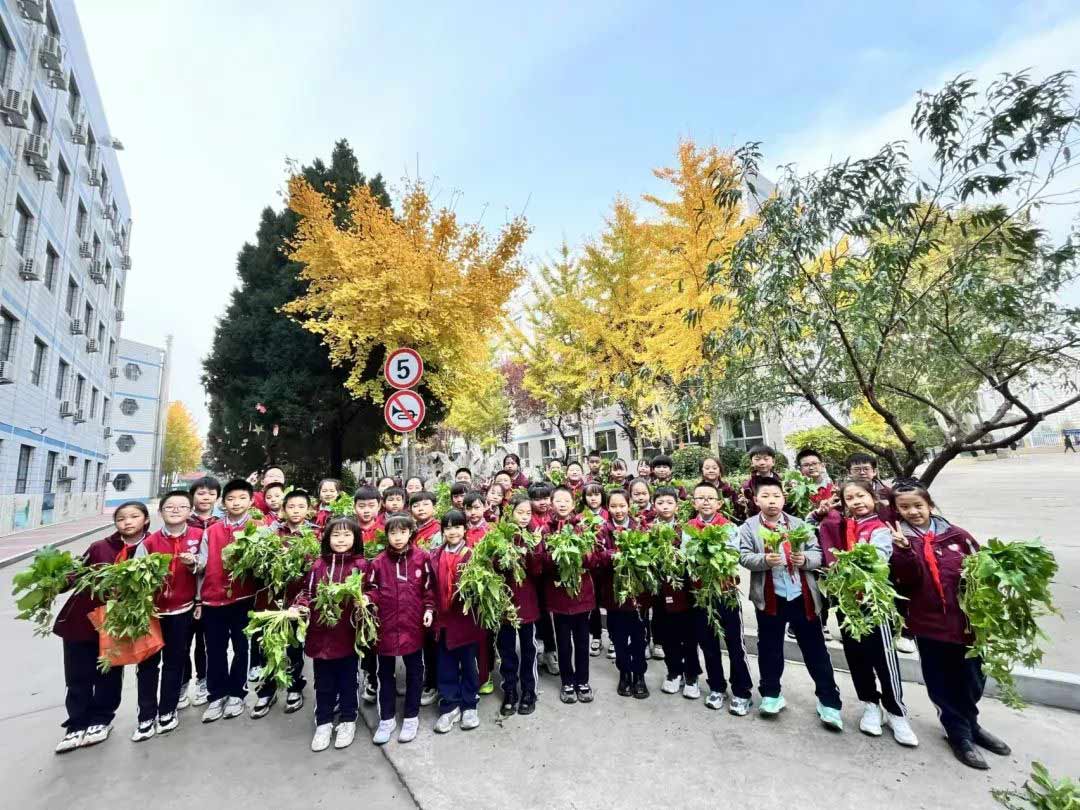 【立小 ? 美育】藥香縈繞匠心間 勞動傳承中國夢｜三年級中醫(yī)藥項目式實踐課程