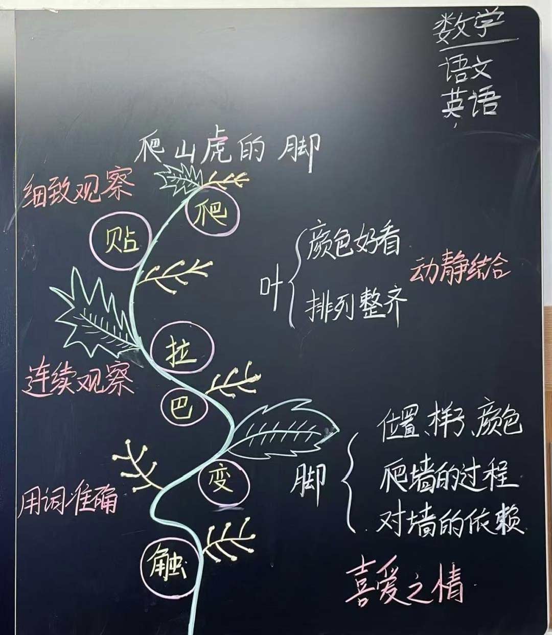 【立小 ? 教學(xué)】三尺方寸地 板書綻芳華｜四年級(jí)板書設(shè)計(jì)展示