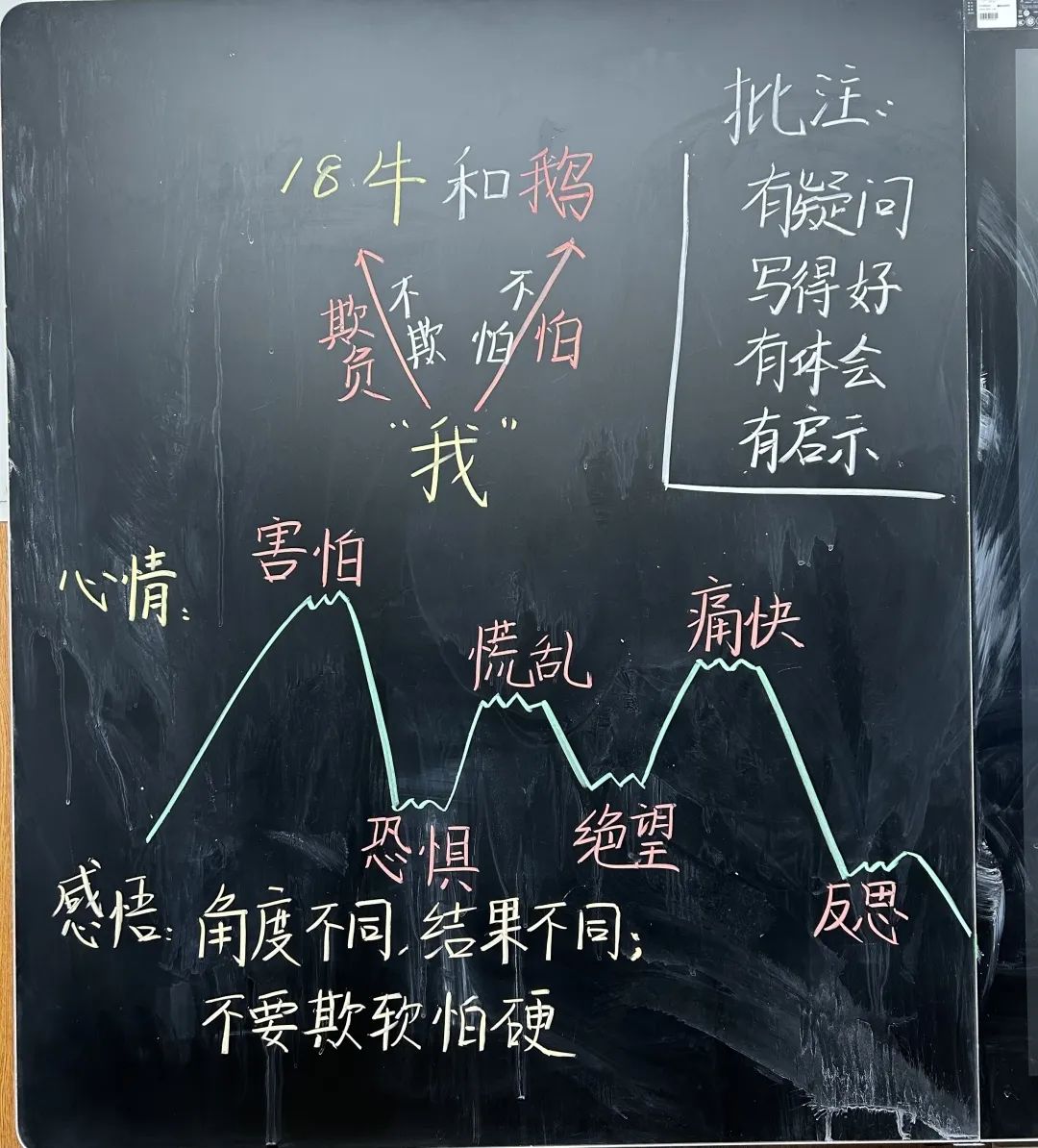 【立小 ? 教學(xué)】三尺方寸地 板書綻芳華｜四年級(jí)板書設(shè)計(jì)展示